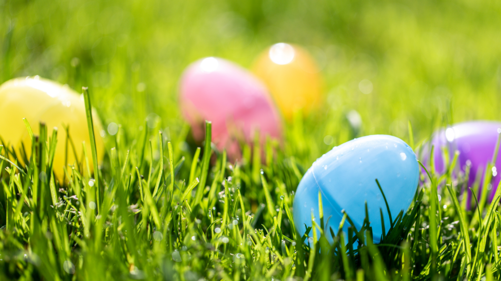 Hop Into Spring Eggfest & Exciting Happenings in the Loop!